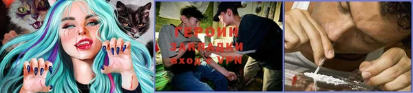 apvp Бородино