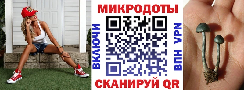 Галлюциногенные грибы ЛСД Тайга